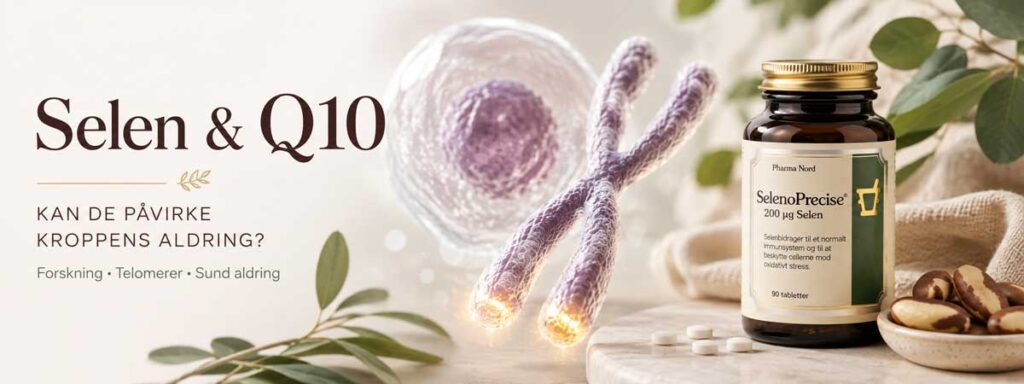Selen-Q10 mod Aldring - viden om SelenoPrecise fra Pharma Nord